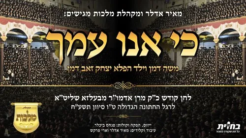 דודי התותח