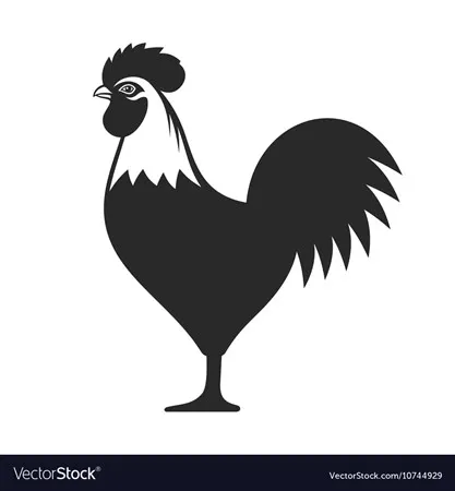 sexy cock