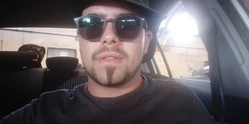 Dov panda
