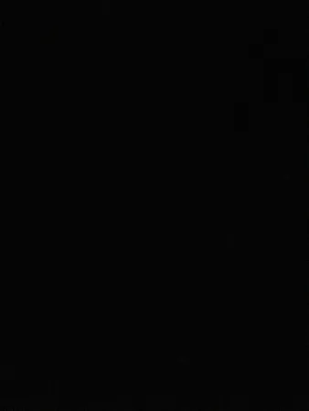 Fast black 