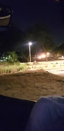 עמי65