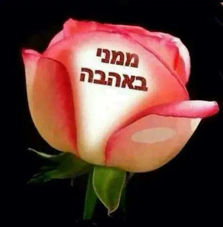 גיא5656
