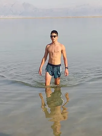 הסוס הטרויאני