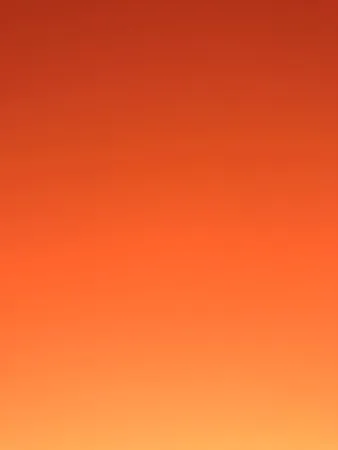 SkyTrip