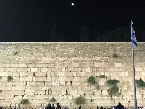 בזו