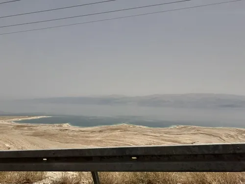 טוג