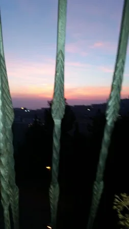 nzsv