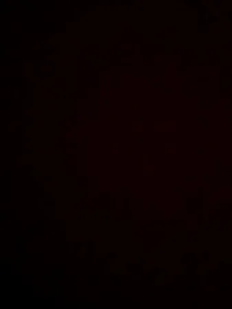 Ori1182