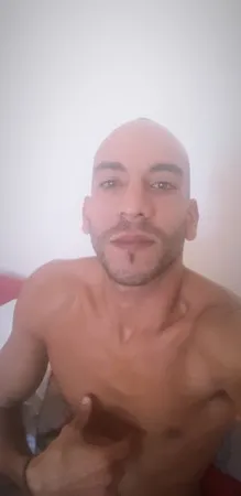 סוס 44