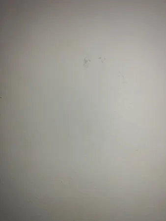Hgkn
