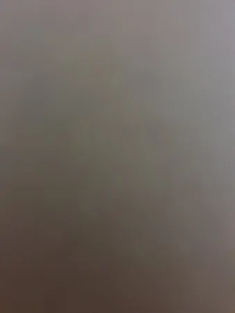 ניק69420