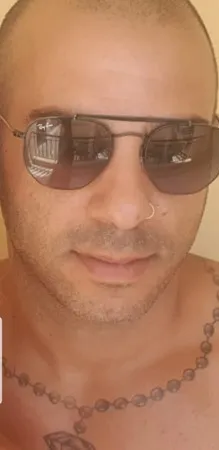 אריאל81