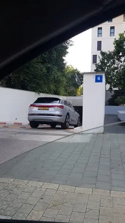 המעמיסס