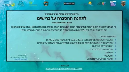 הורי
