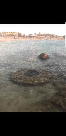 אמיר 89