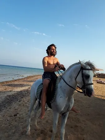 פרטישני