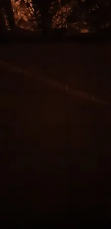 יצחקbb