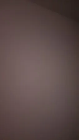Okeko 