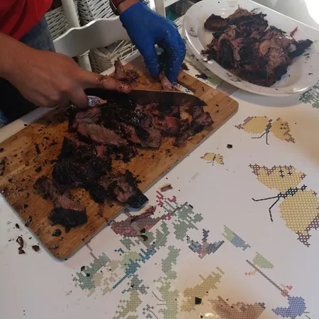 תומר השולט 