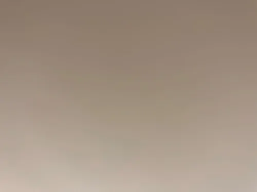 Driadni20