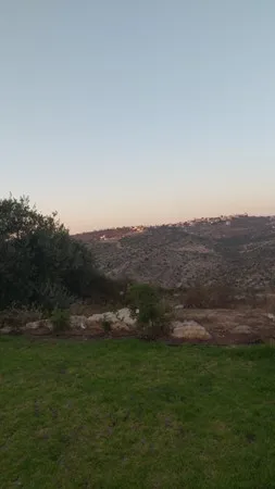 חמיש