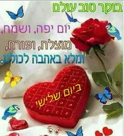 אלברטן
