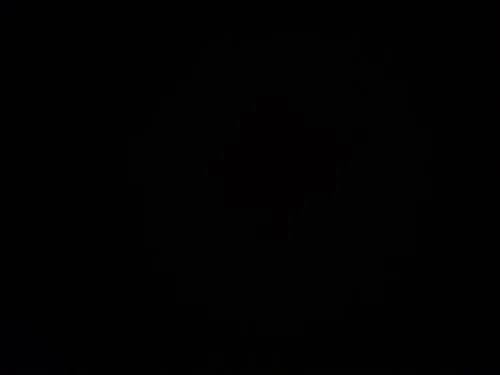 Shay_m