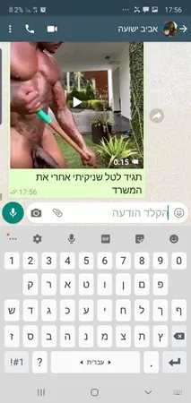 שפנפן גזעי