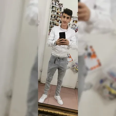 אביביס