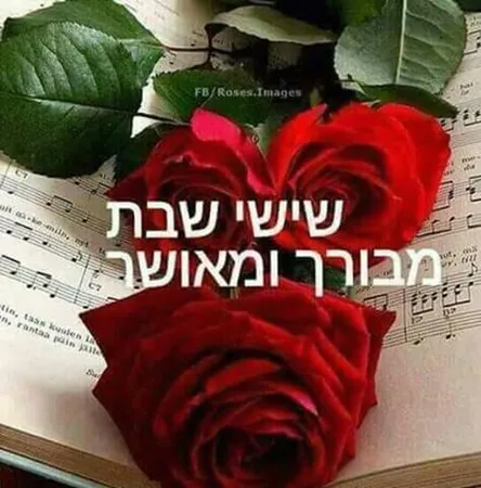 מאוהב על סקסיו 