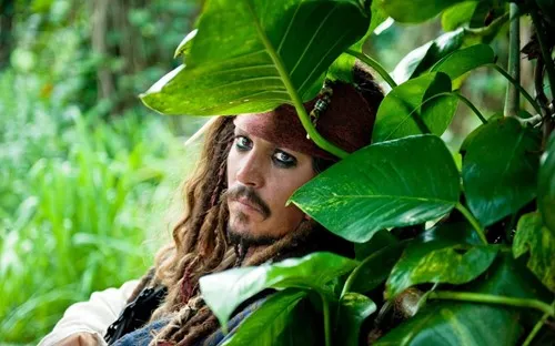 DON PAN