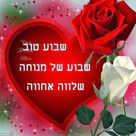 יוסי יחף על החו