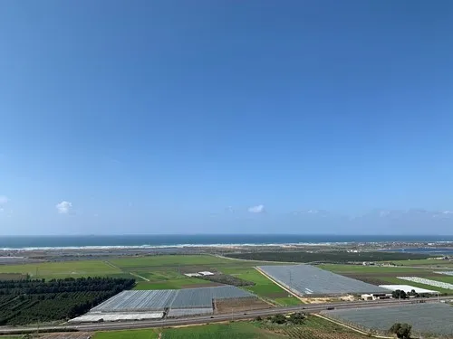 רוני כהן 123