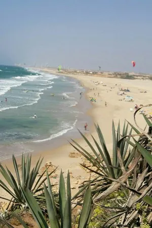 AvivAvivAviv