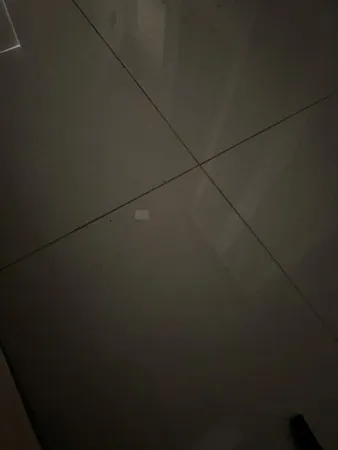 Mtrd
