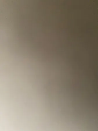 יוסי המוביל