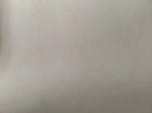 טוהר אוהבת זין 