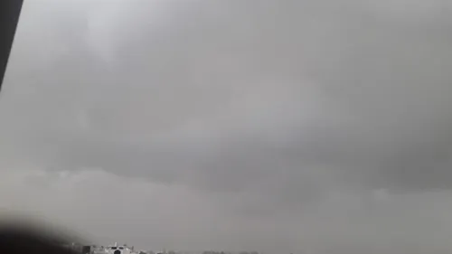 Avdor