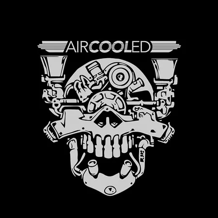 Vector