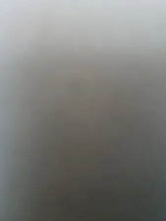 A.v