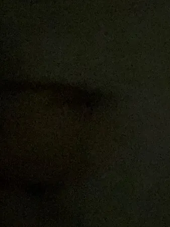 BbvYuvali