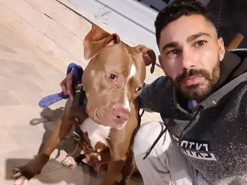 אביב86