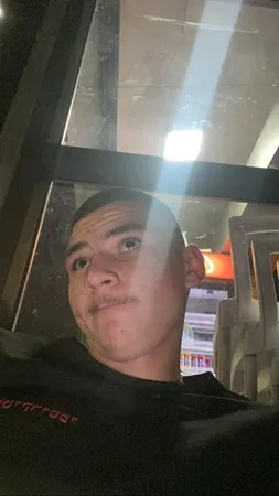 שועל קרבותת