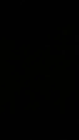 .×ז