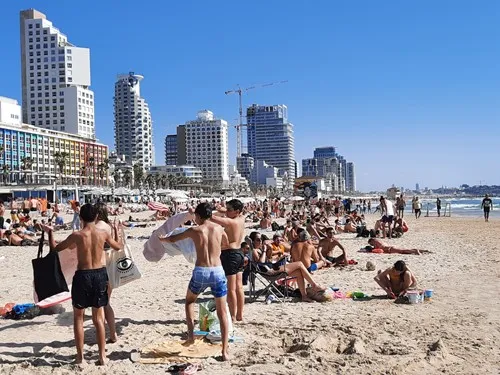 מטרופיס