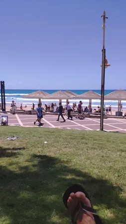 מוחא