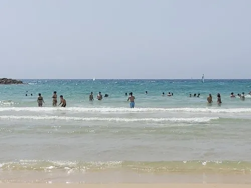 שואל rsf