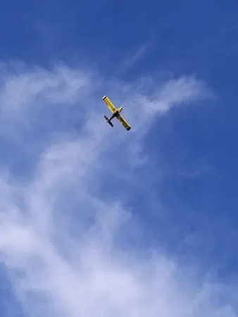 הפנתר 36