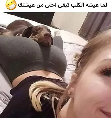 ابووحيد 
