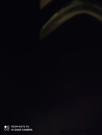 Meeeeeeeee